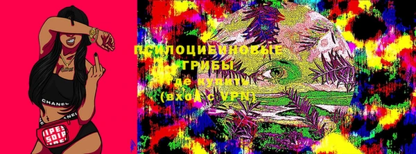 прущая мука Надым